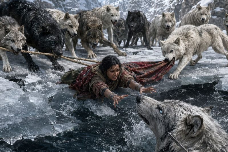 बर्फीली नदी से 12वें भेड़िये को बचाते ही लड़की को पता चला—वह जानवर नहीं, छिपा हुआ राजा था; लेकिन असली झटका तब लगा जब हमले की मुहर उसके अपने मामा की निकली